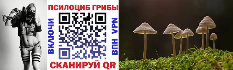 дарнет шоп Сычёвка hydra сайт Галлюциногенные грибы ЛСД