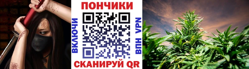 магазин Сычёвка Каннабис THC 21%
